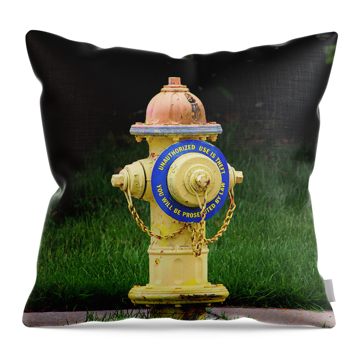 Fire Hydrant Throw Pillow featuring the photograph Not for Doggies to Read by Bill Swartwout