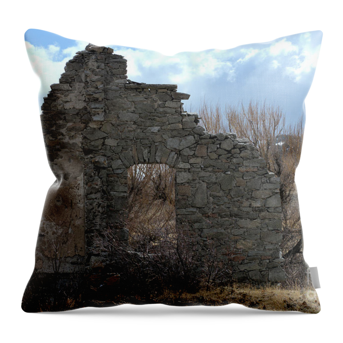 Abandoned Throw Pillow featuring the photograph Not Much Left by Kae Cheatham