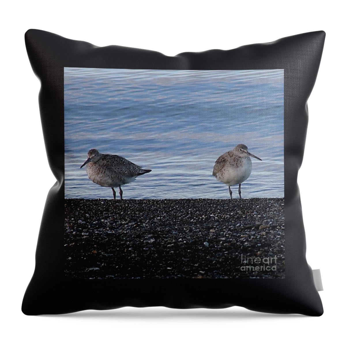 Long-billed Dowitcher Throw Pillow featuring the photograph Not talking to you by Yvonne M Smith