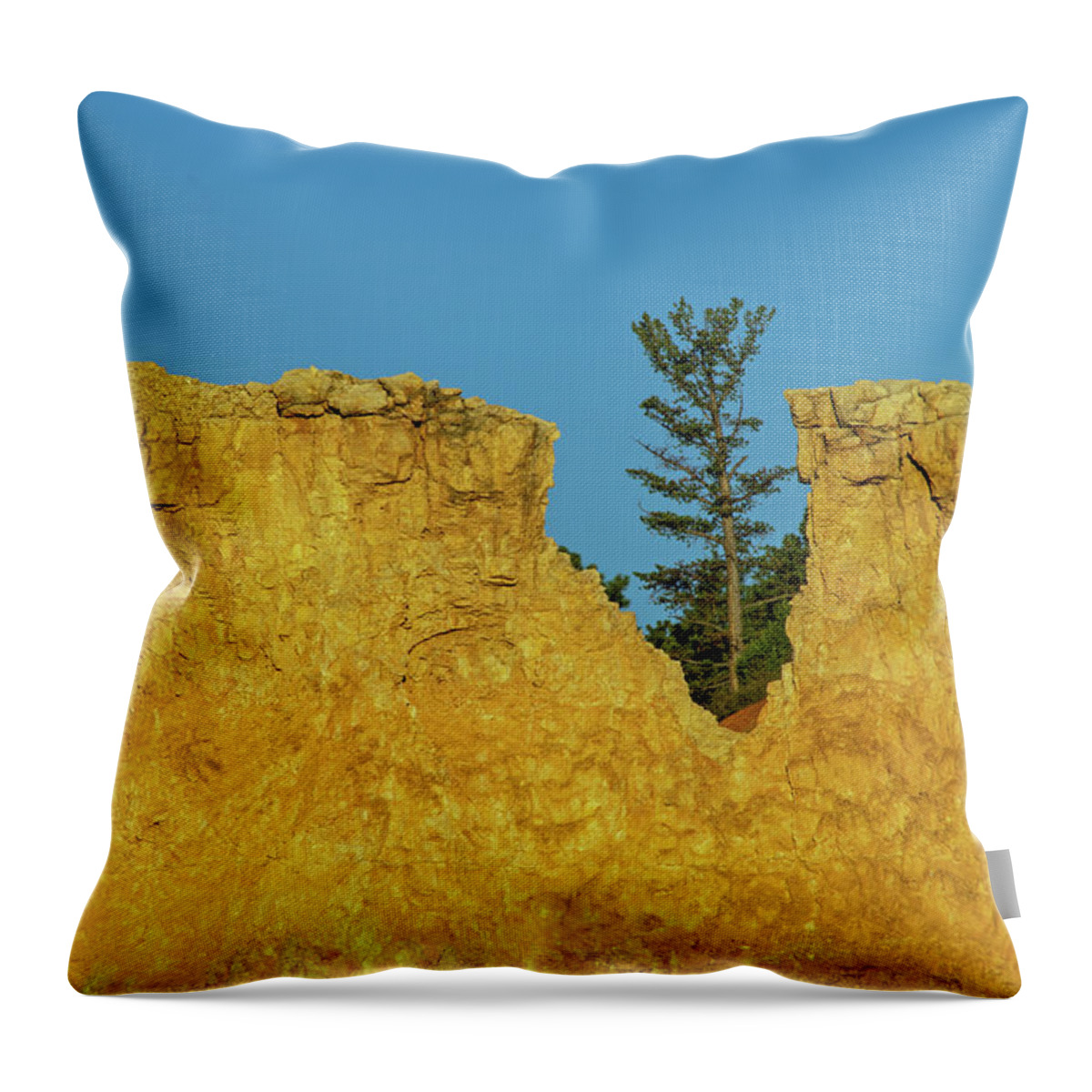Bryce Canyon Hoodoos Throw Pillow featuring the photograph Notched Tree Bryce Canyon National Park by Bruce Gourley