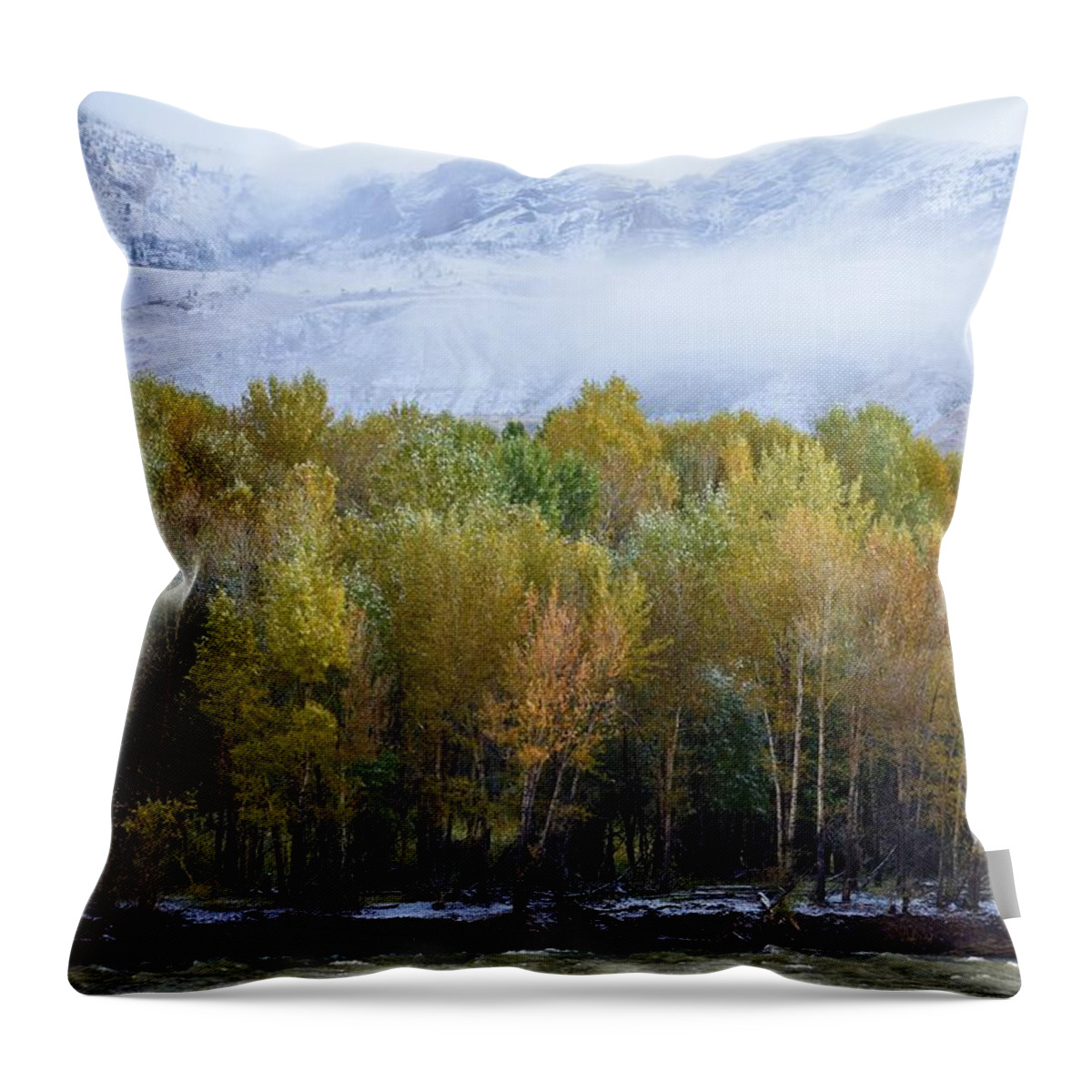 Western Art Throw Pillow featuring the photograph Notes of Autumn by Alden White Ballard