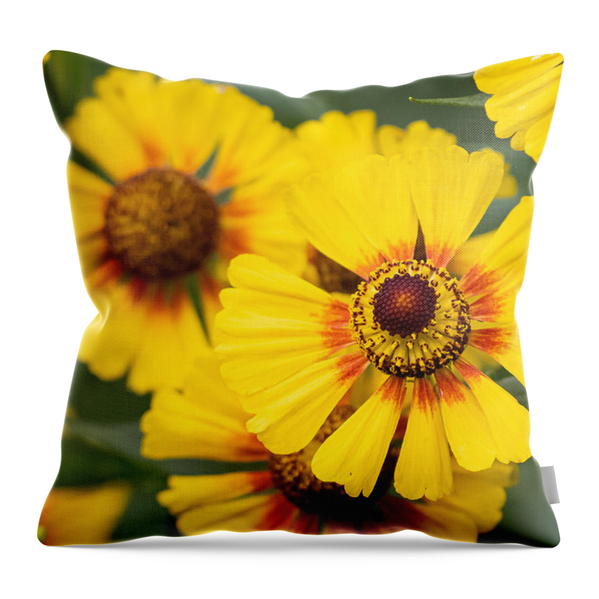 Flower Throw Pillow featuring the photograph Nothing to Sneeze At by Linda Bonaccorsi