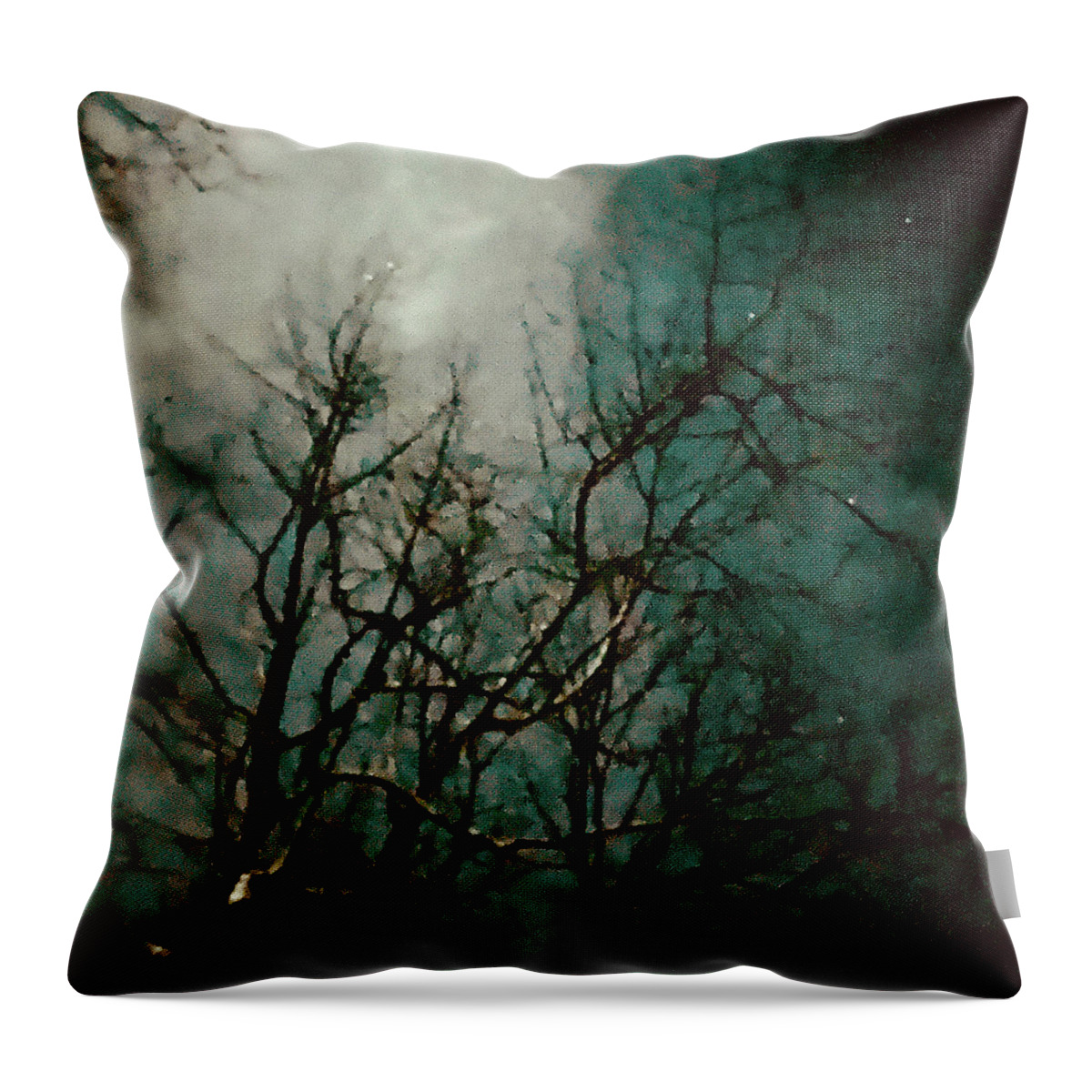 Buffy The Vampire Slayer Throw Pillow featuring the photograph Notwithstanding by Nicholas Brendon