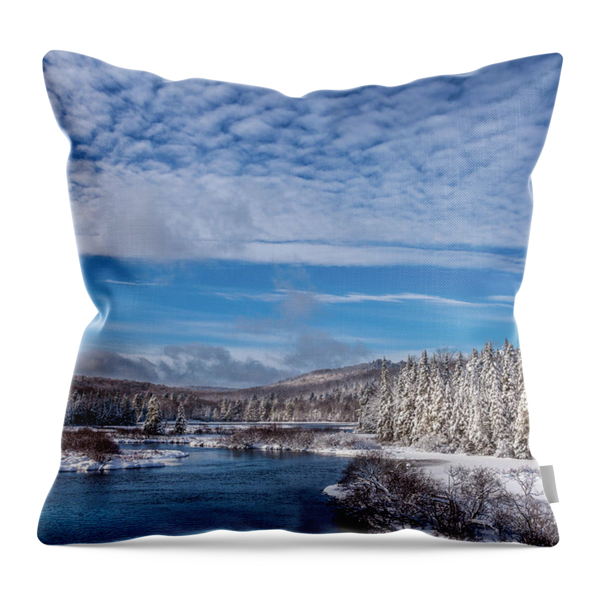 November Snow Throw Pillow featuring the photograph November Snow by David Patterson
