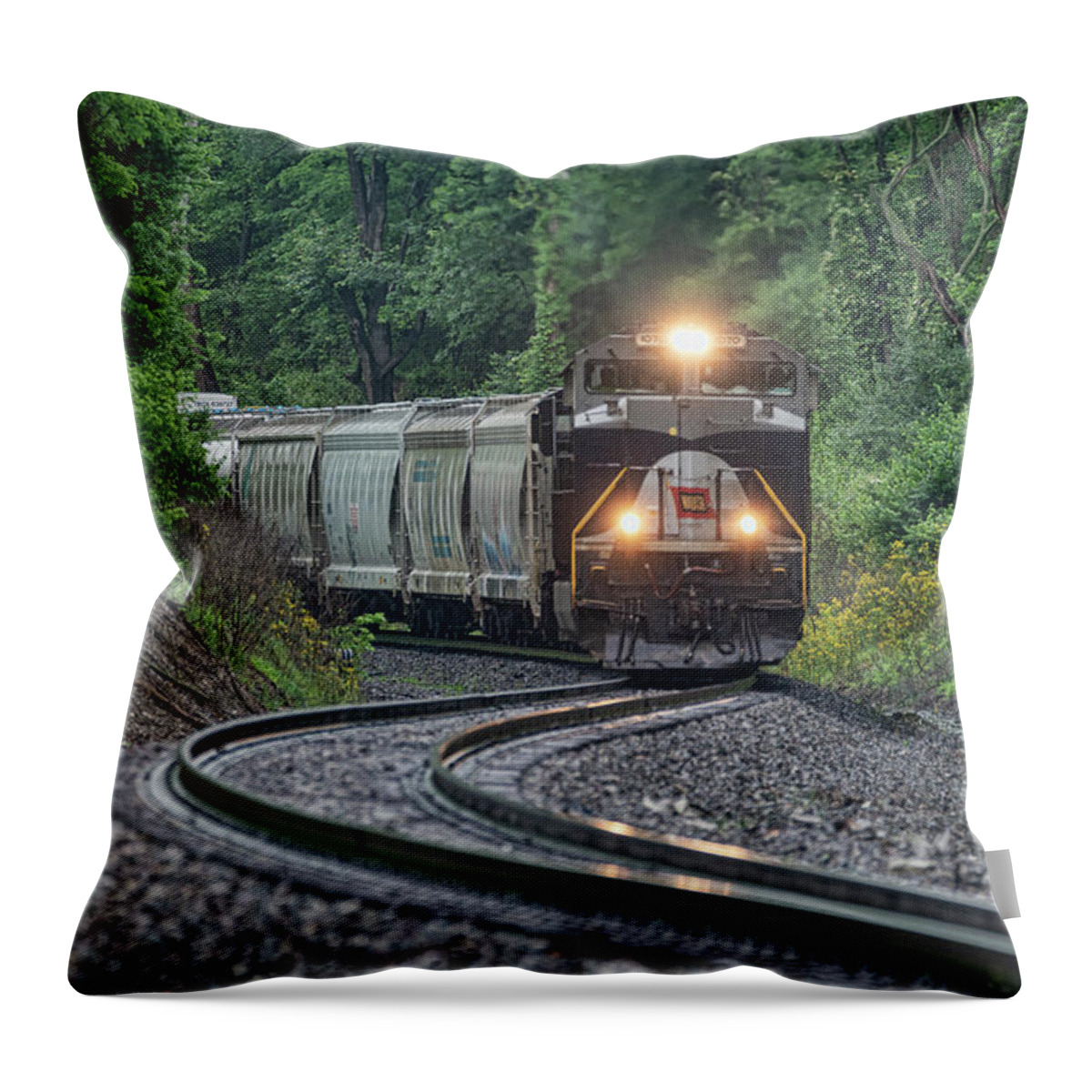Railroad Throw Pillow featuring the photograph NS Wabash Heritage unit at Albion IL by Jim Pearson
