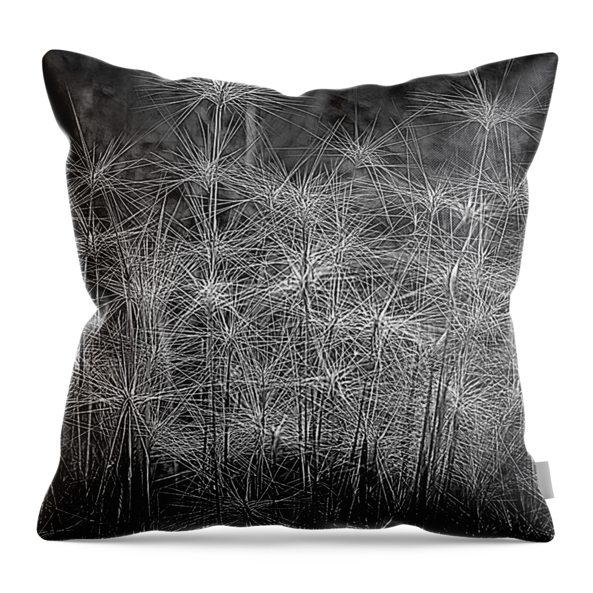 Texture Throw Pillow featuring the photograph Nature's Texture by Laura Putman