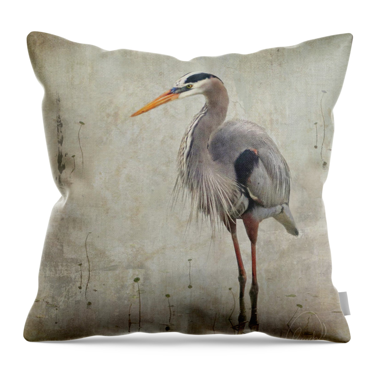 Bird Throw Pillow featuring the photograph Numachi by Karen Lynch