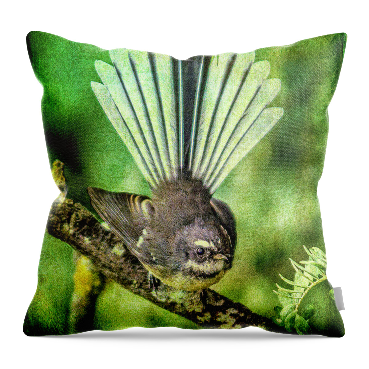 Bird Throw Pillow featuring the photograph N.Z. Fantail 2 by Roseanne Jones