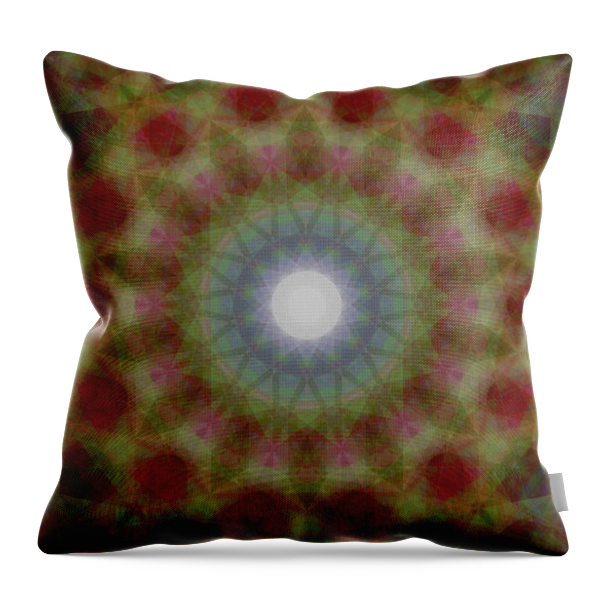  Throw Pillow featuring the digital art P-1 3l 14d by Primary Design Co