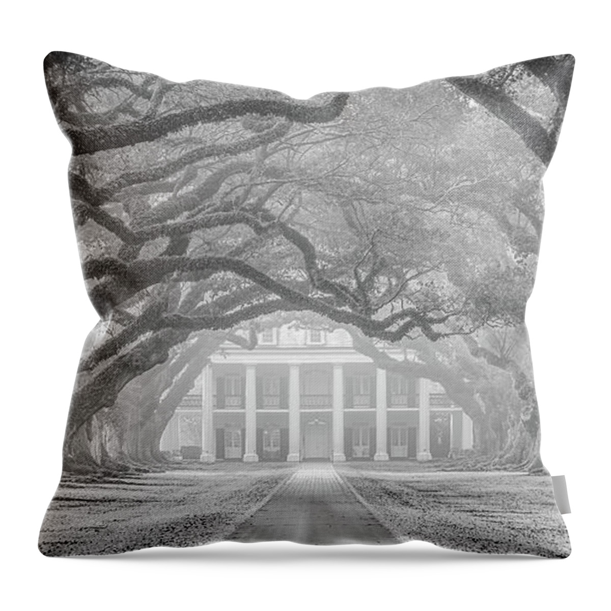Louisiana Throw Pillow featuring the photograph Oak Alley fog by Andy Crawford