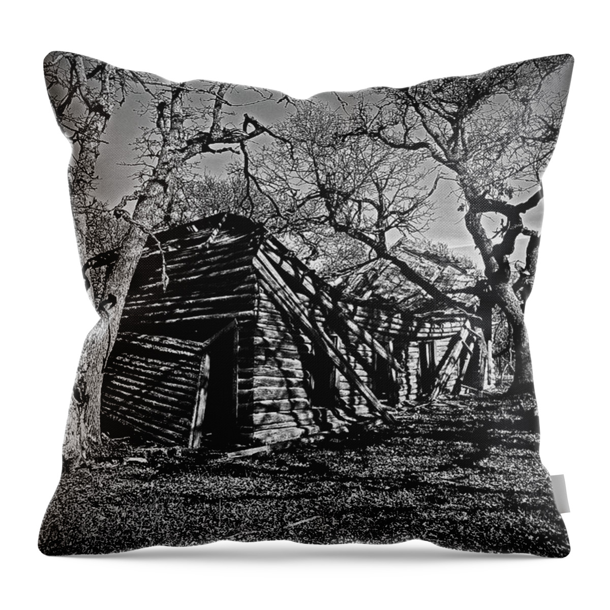  Throw Pillow featuring the digital art Oak Grove Homestead B/W by Fred Loring