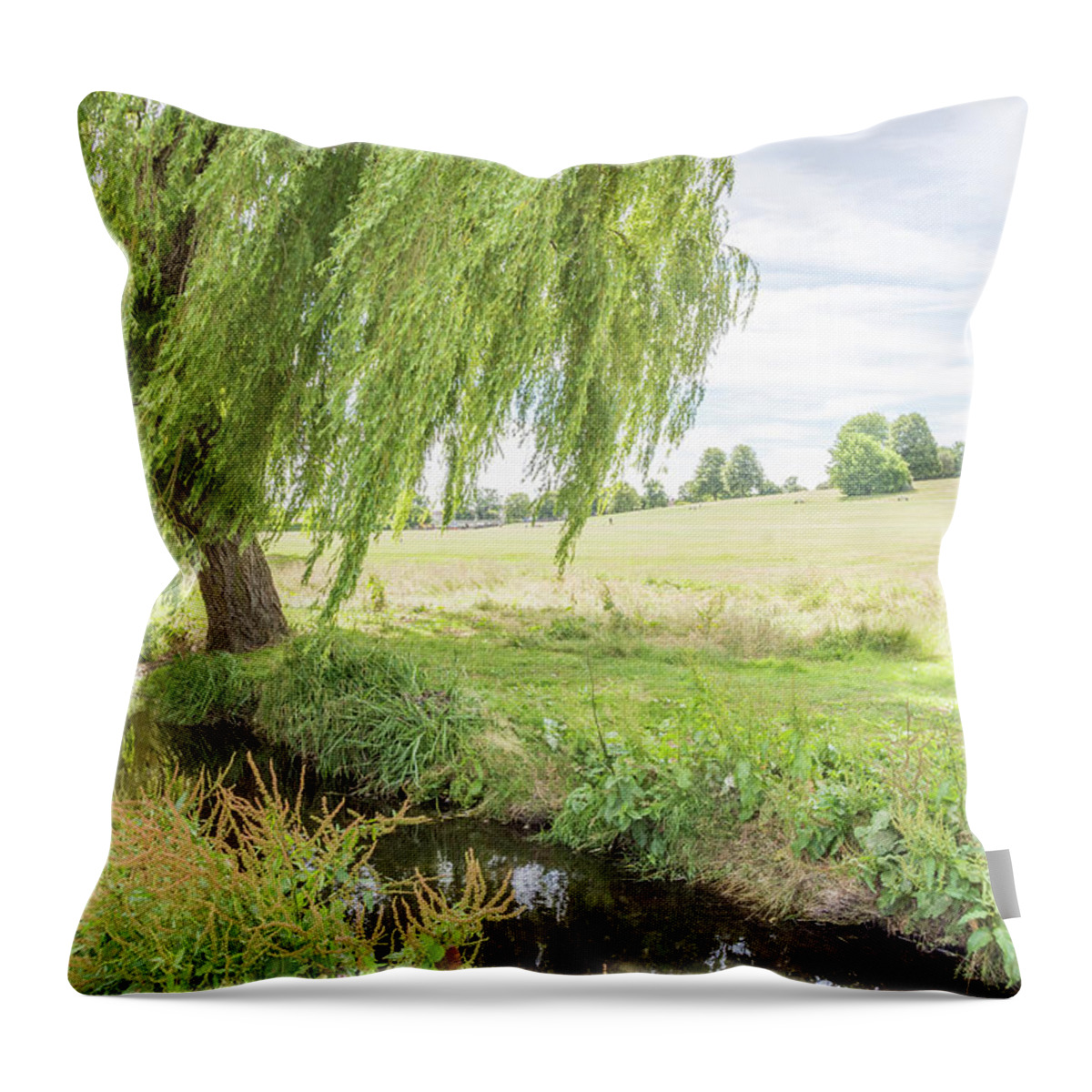Oak Hill Park Throw Pillow featuring the photograph Oak Hill Park Trees Summer by Edmund Peston