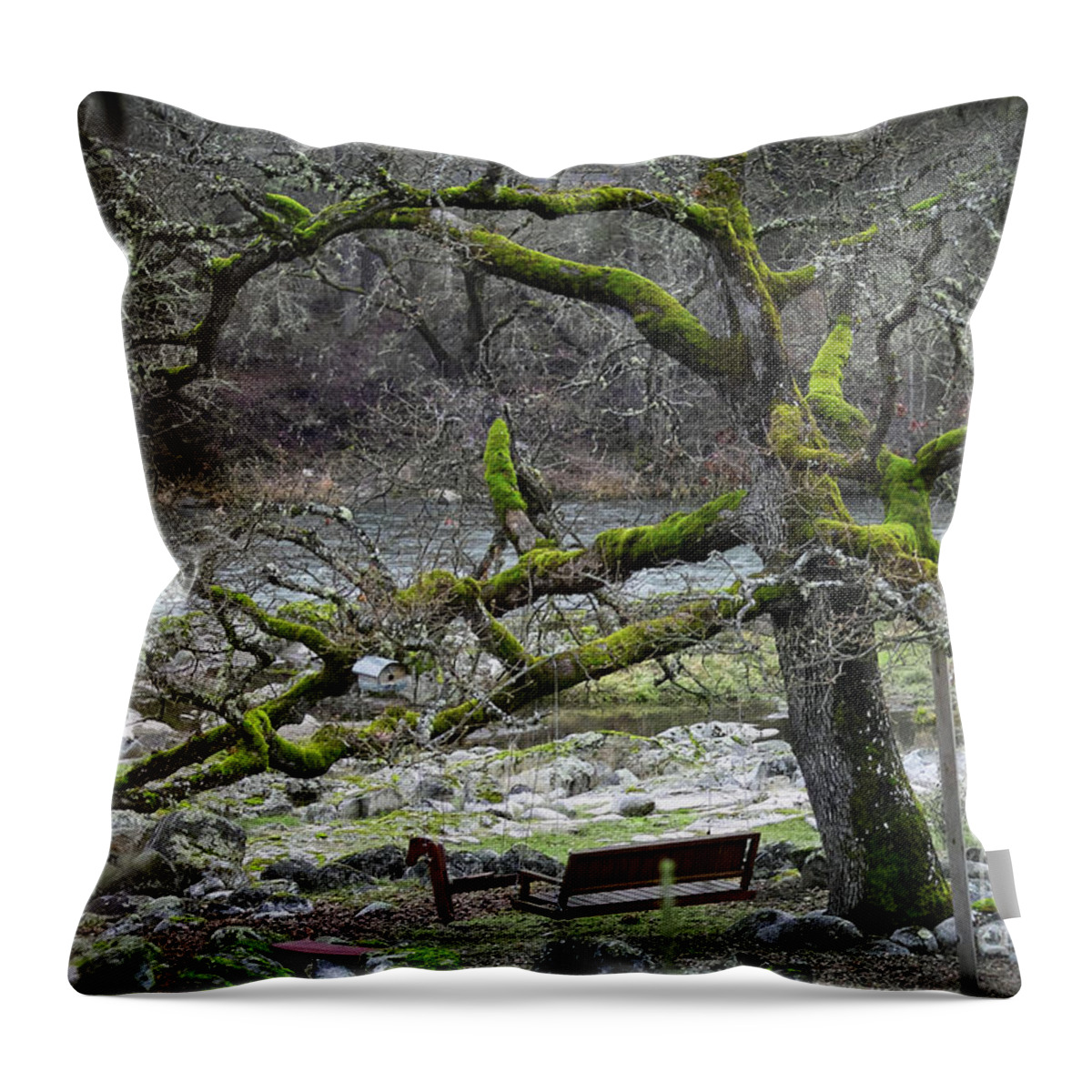 Rouge River Throw Pillow featuring the photograph Oak On The Rogue River by Theresa Fairchild