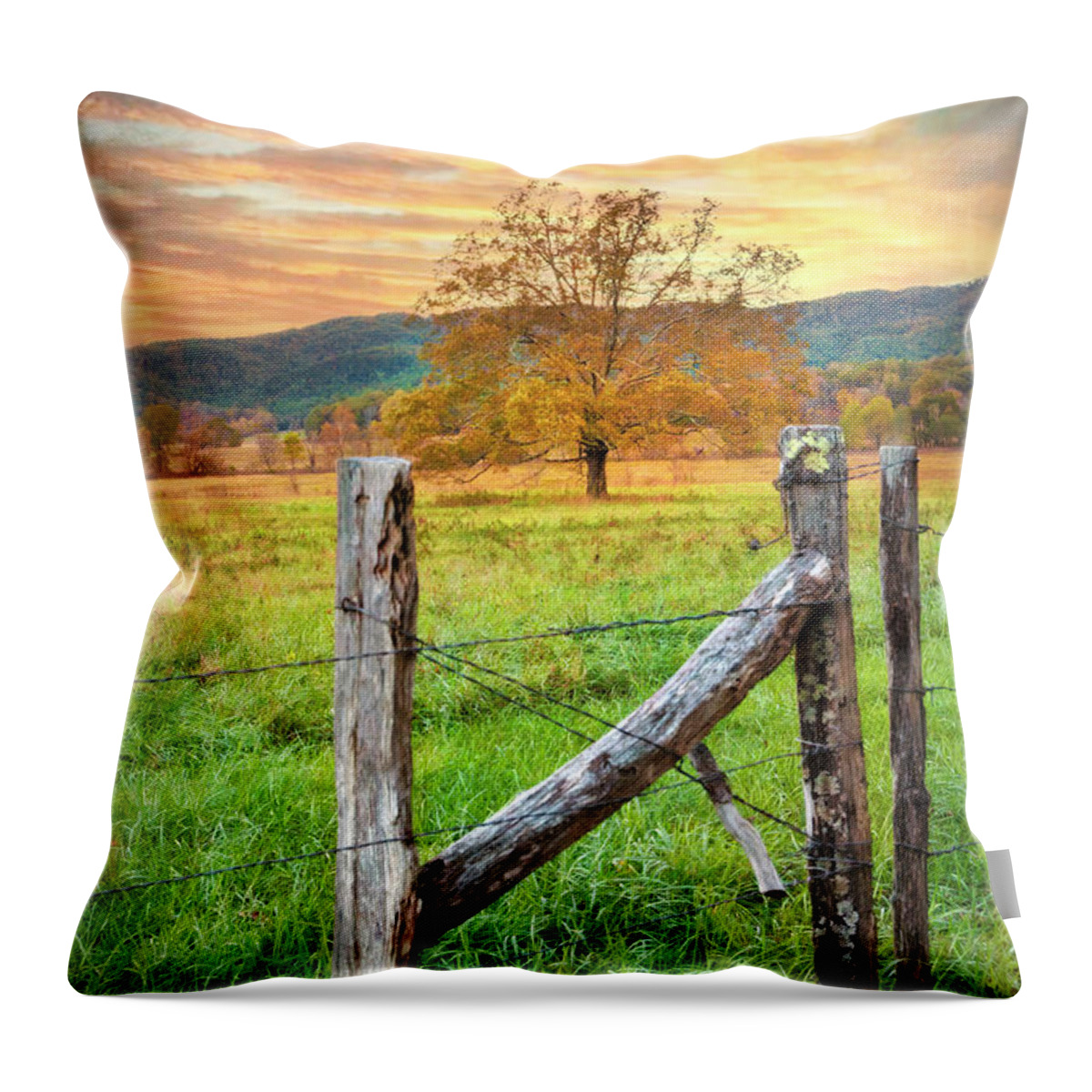 Cades Throw Pillow featuring the photograph Oak Tree at Sunrise by Debra and Dave Vanderlaan