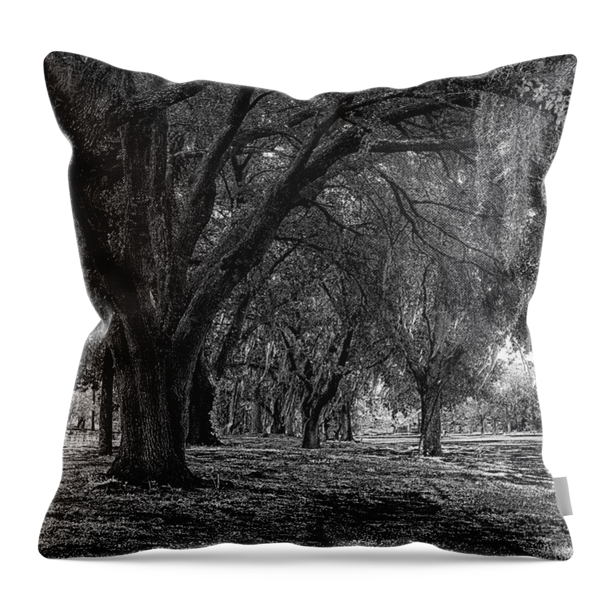 Oak Throw Pillow featuring the photograph Oaks Lane by Debra Kewley