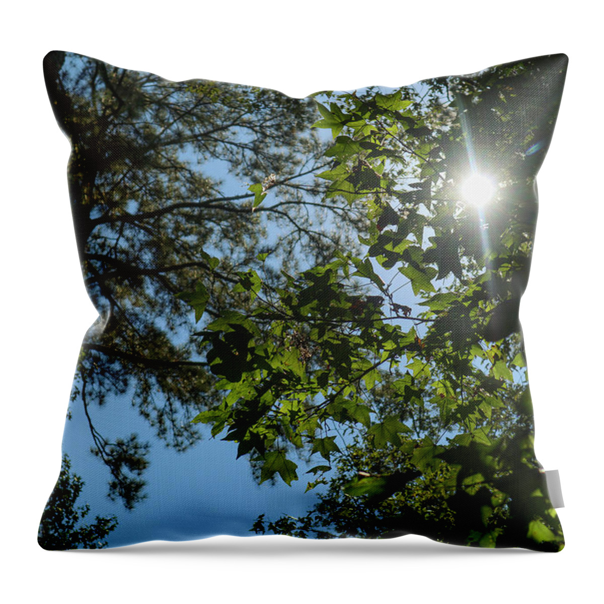 Forest Throw Pillow featuring the photograph Ocmulgee Forest Skies by Ed Williams