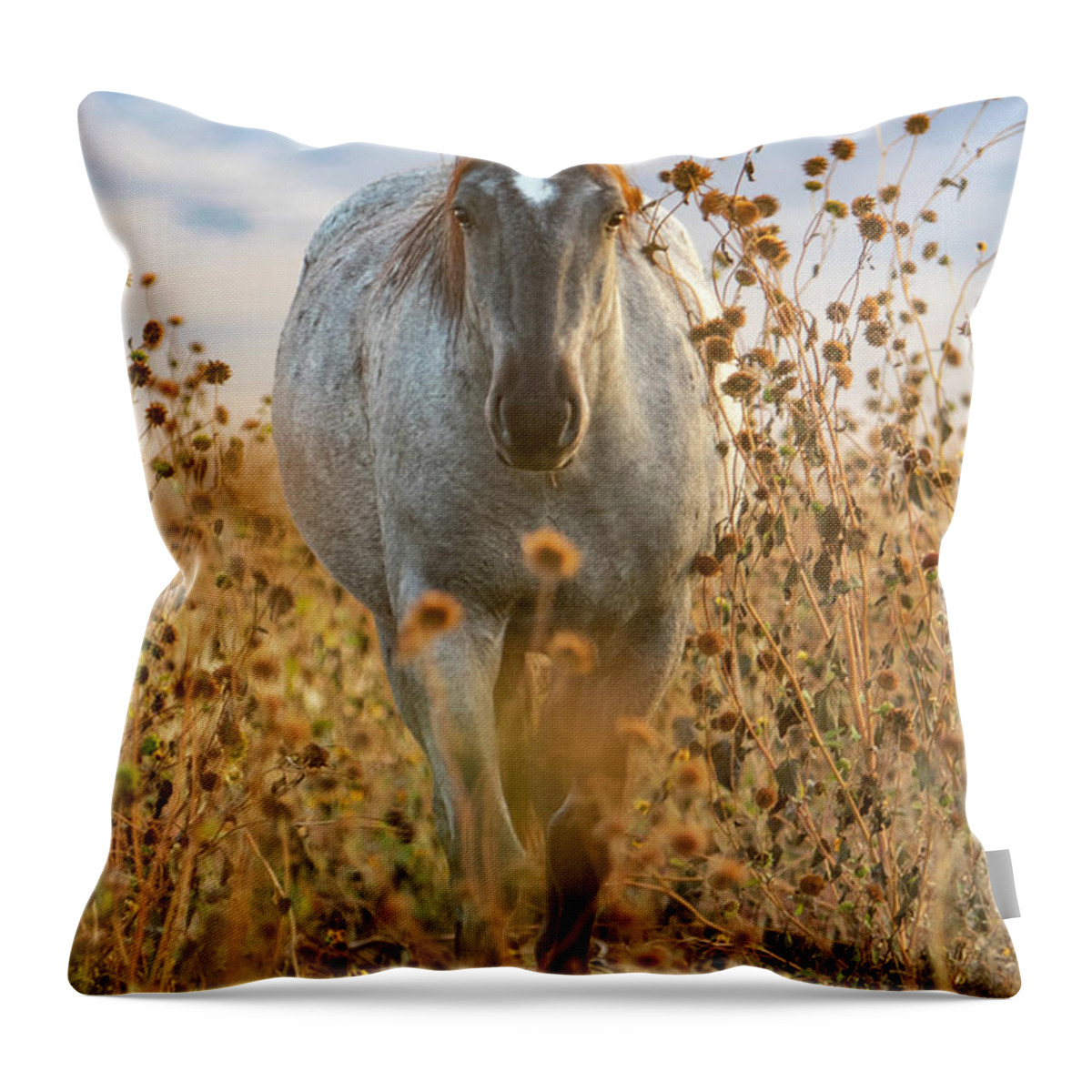 Horse Throw Pillow featuring the photograph October Sunflowers by Kent Keller