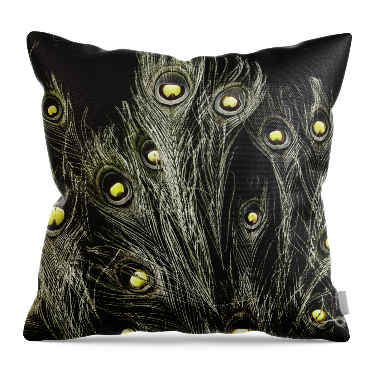 Feather Throw Pillow featuring the photograph Of many eyes by Jorgo Photography