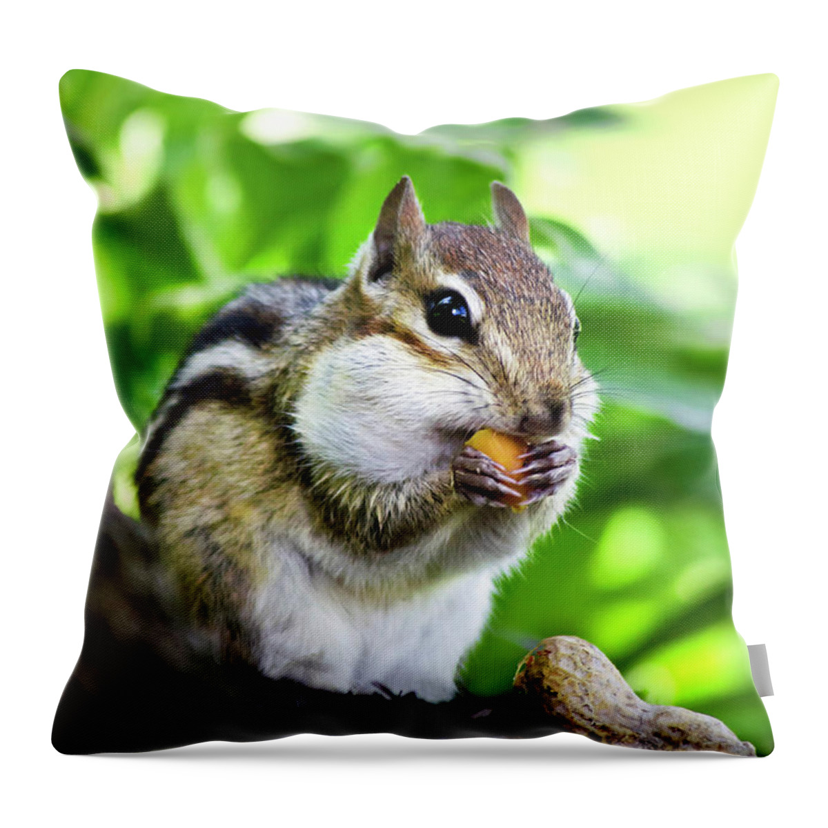 Chipmunk Throw Pillow featuring the photograph Oh Nuts by Christina Rollo