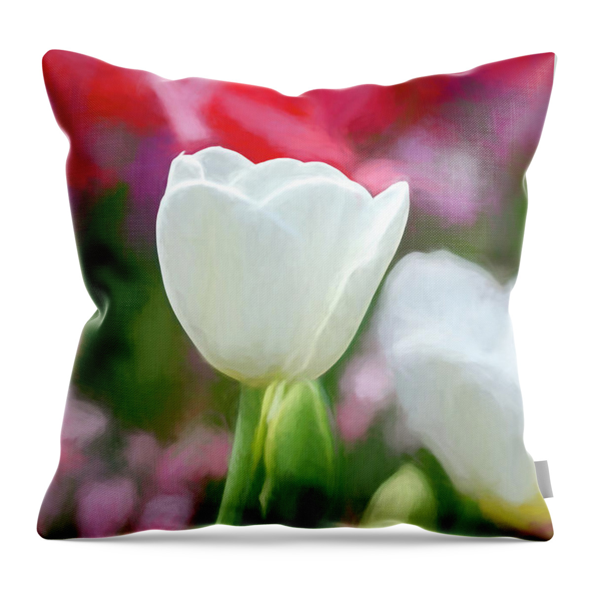 White Throw Pillow featuring the photograph Oklahoma White Tulip Watercolor by Bert Peake