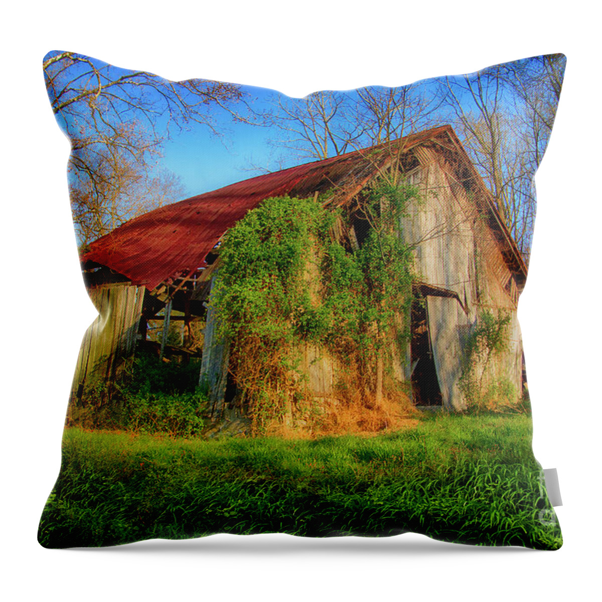 Fall Creek Throw Pillow featuring the photograph Old Barn at Fall Creek by Shelia Hunt