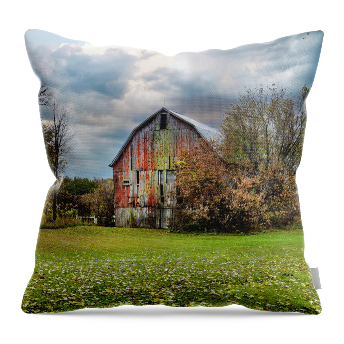 Northernmichigan Throw Pillow featuring the photograph Old Barn In Metamora DSC_0720 by Michael Thomas