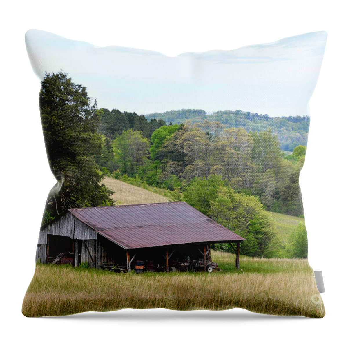 Landscape Throw Pillow featuring the photograph Old Barn by Phil Perkins