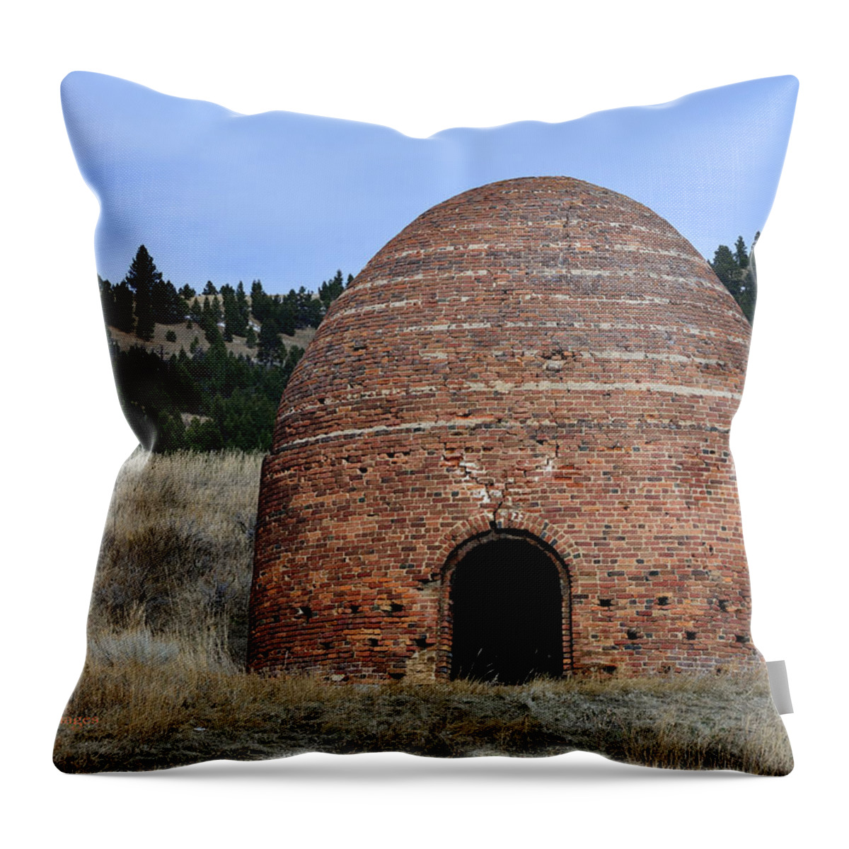 Furnace Throw Pillow featuring the photograph Old Beehive Furnace by Kae Cheatham