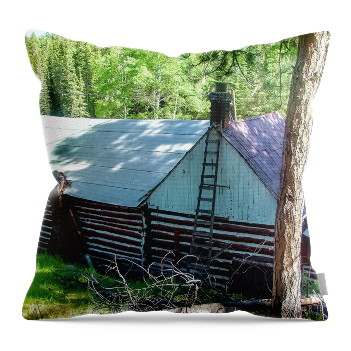Barn Throw Pillow featuring the photograph Old Black Hills Cabin by Cathy Anderson