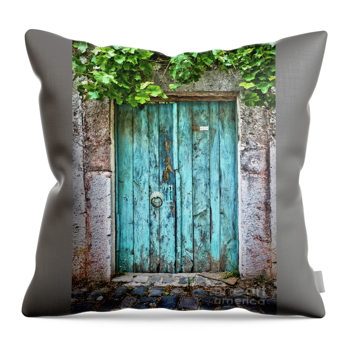 Blue Throw Pillow featuring the photograph Old blue door with vine by Delphimages Photo Creations