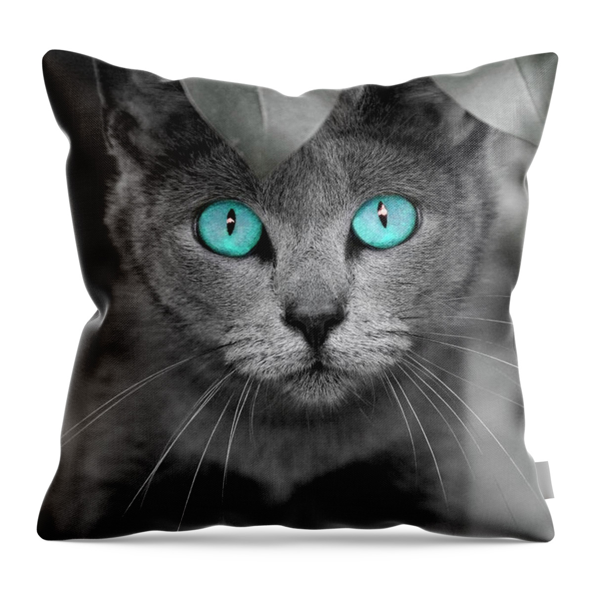 Cats Throw Pillow featuring the photograph Old Blue Eyes by Renee Spade Photography