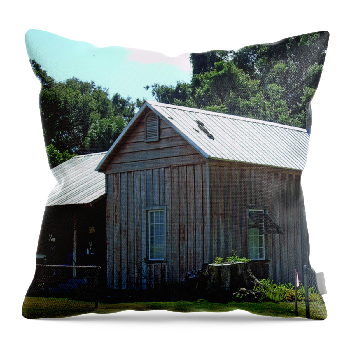 Home Throw Pillow featuring the photograph Old Brown Florida Home by D Hackett