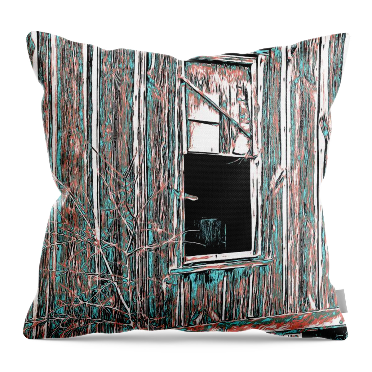 Window Throw Pillow featuring the digital art Old building detail #3 by Fran Woods