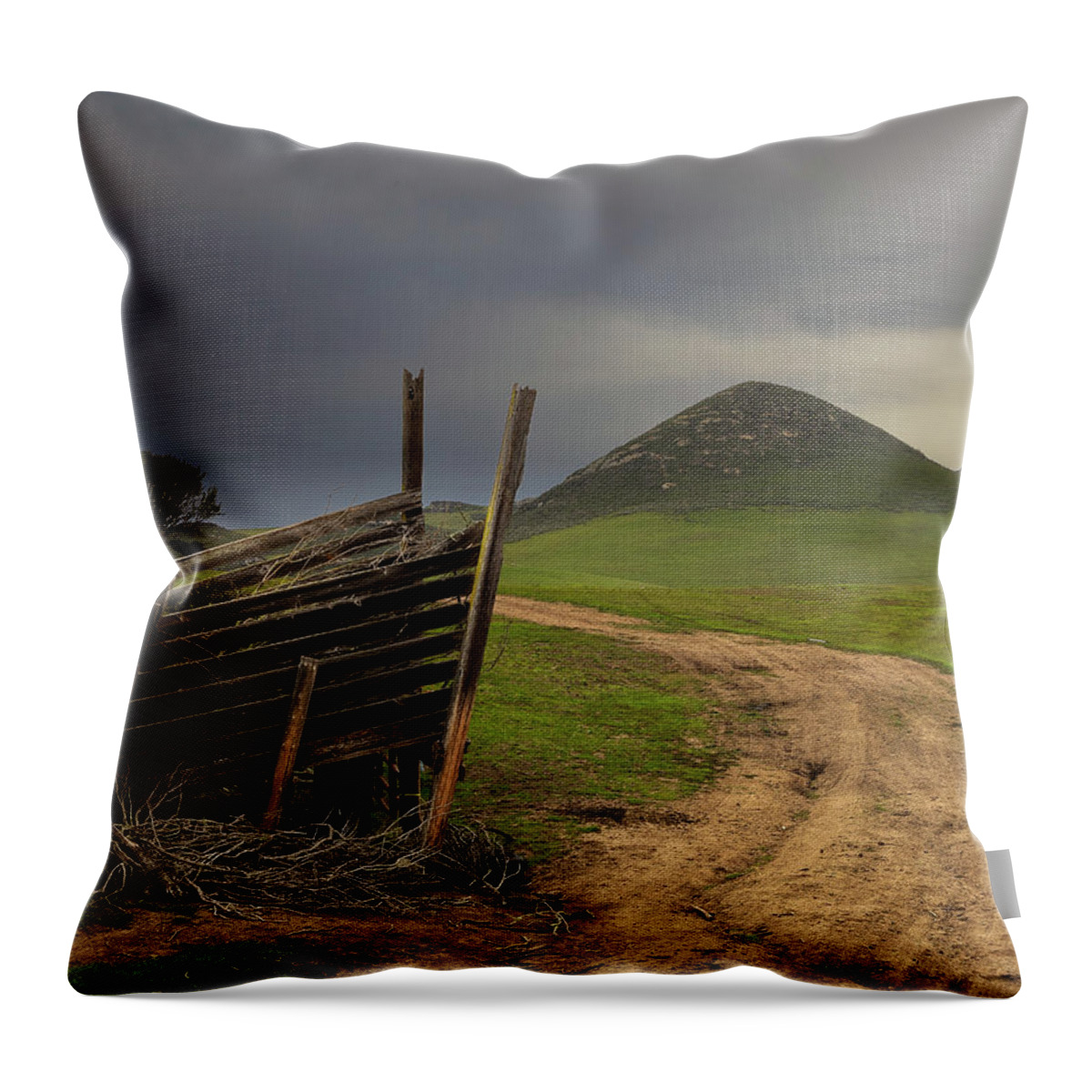 Cattle Throw Pillow featuring the photograph Old cattle chute on Turri Road by Lars Mikkelsen