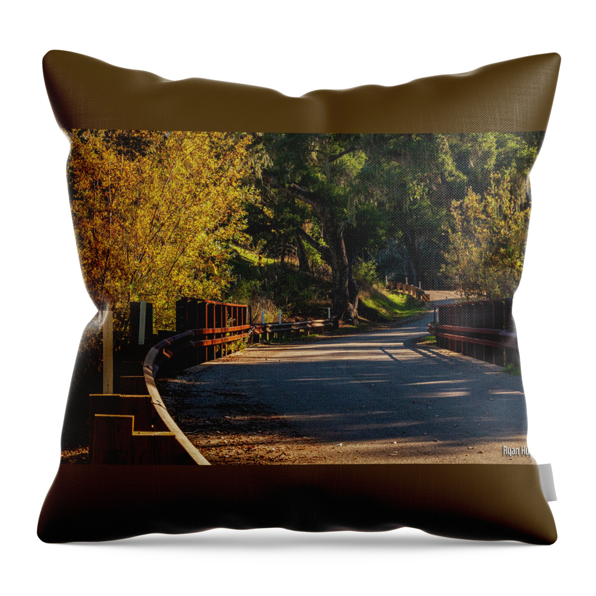 Tree Throw Pillow featuring the photograph Old Country Road by Ryan Huebel