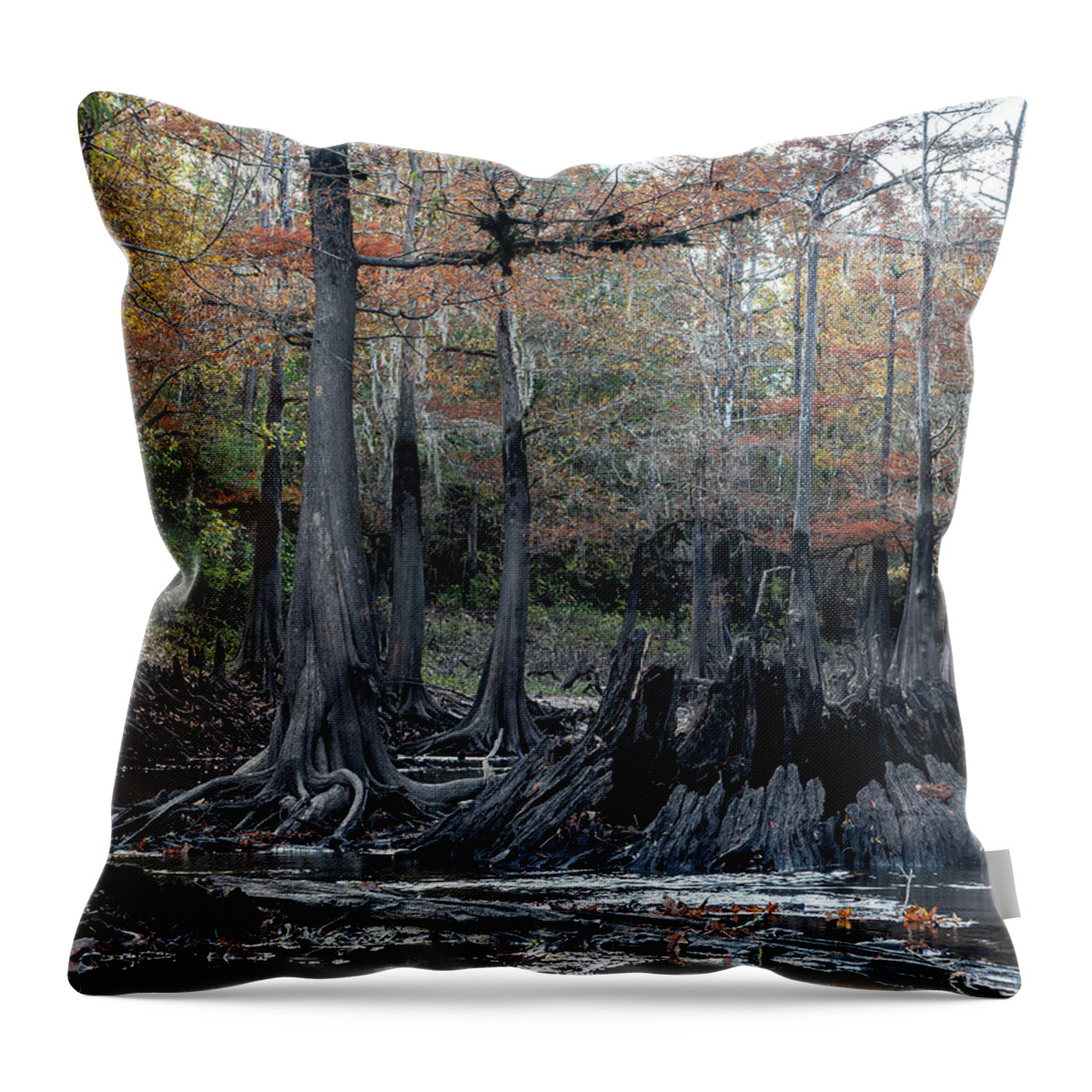 Trees Throw Pillow featuring the photograph Old Cypress Stump by Jerry Connally