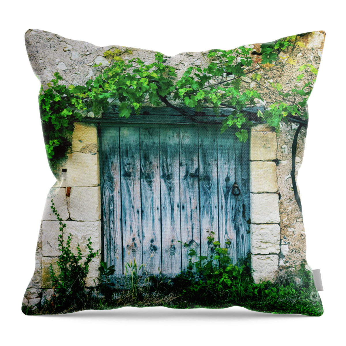 Door Throw Pillow featuring the photograph Old door with vine by Delphimages Photo Creations