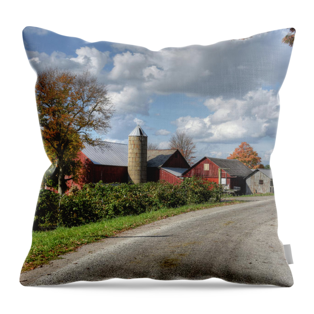 Farm Throw Pillow featuring the photograph Old Farm by Ann Bridges
