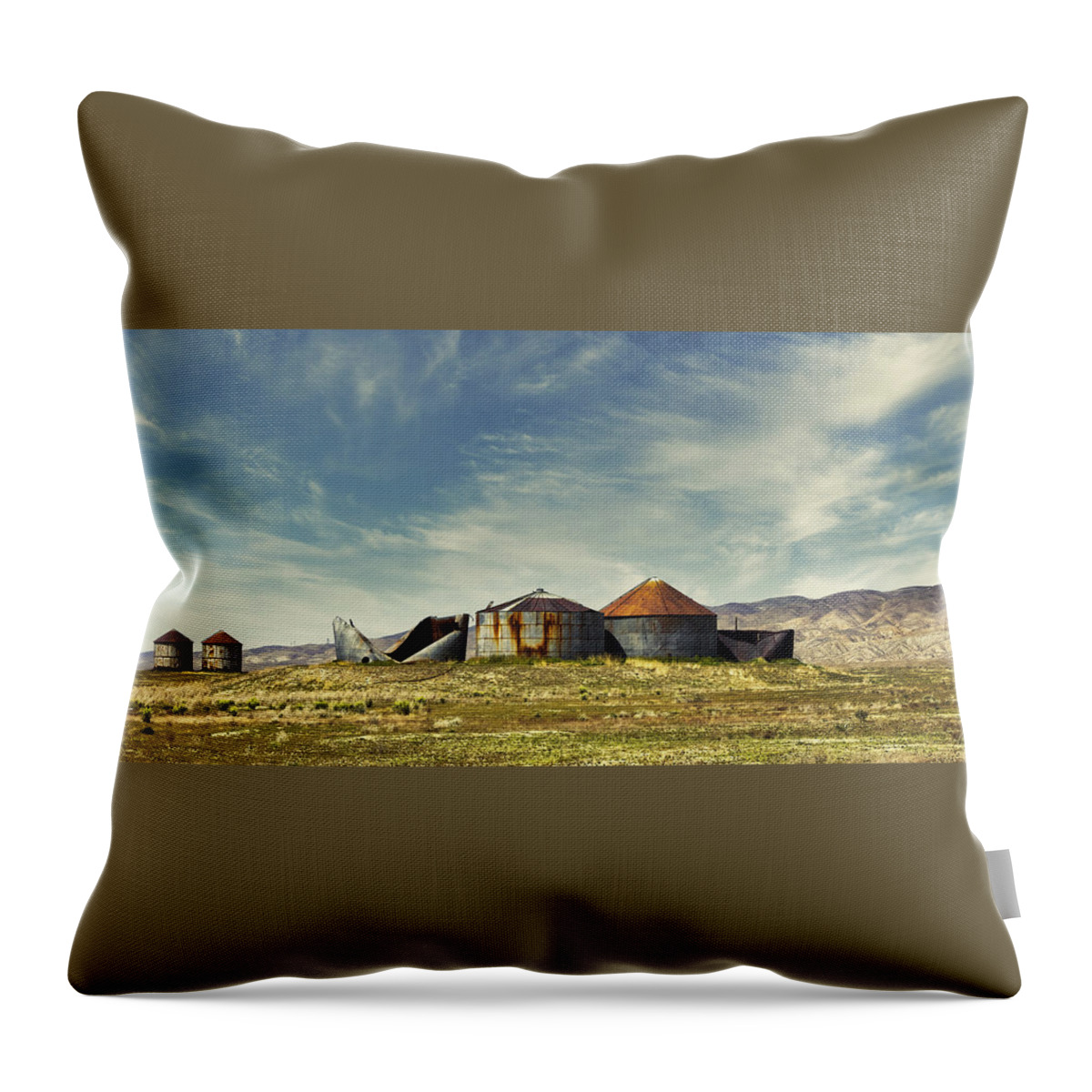 Ca Throw Pillow featuring the photograph Old Granaries of Carrizo by Cheryl Strahl