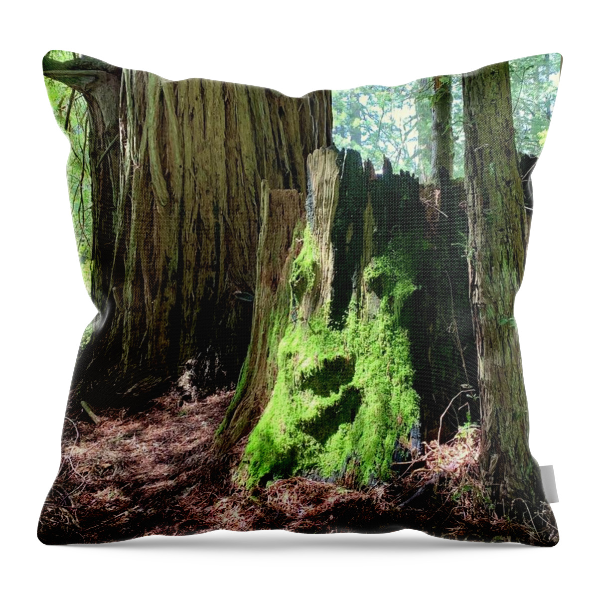 Redwoods Throw Pillow featuring the photograph Old Man in a Tree by Wendy Golden