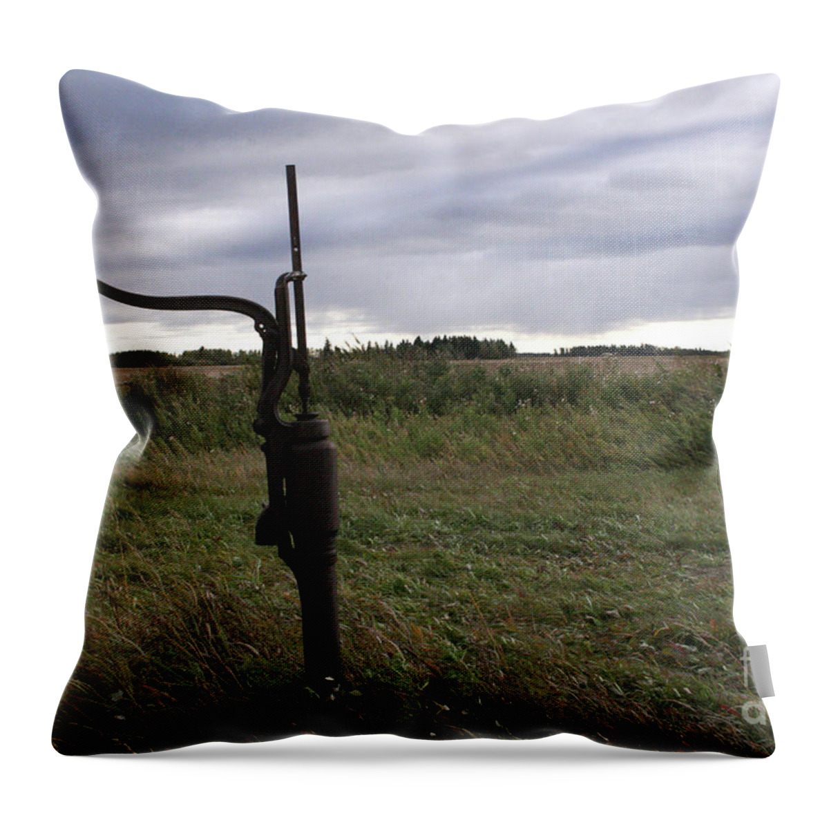 Old Throw Pillow featuring the photograph Old Water Pump by Mary Mikawoz