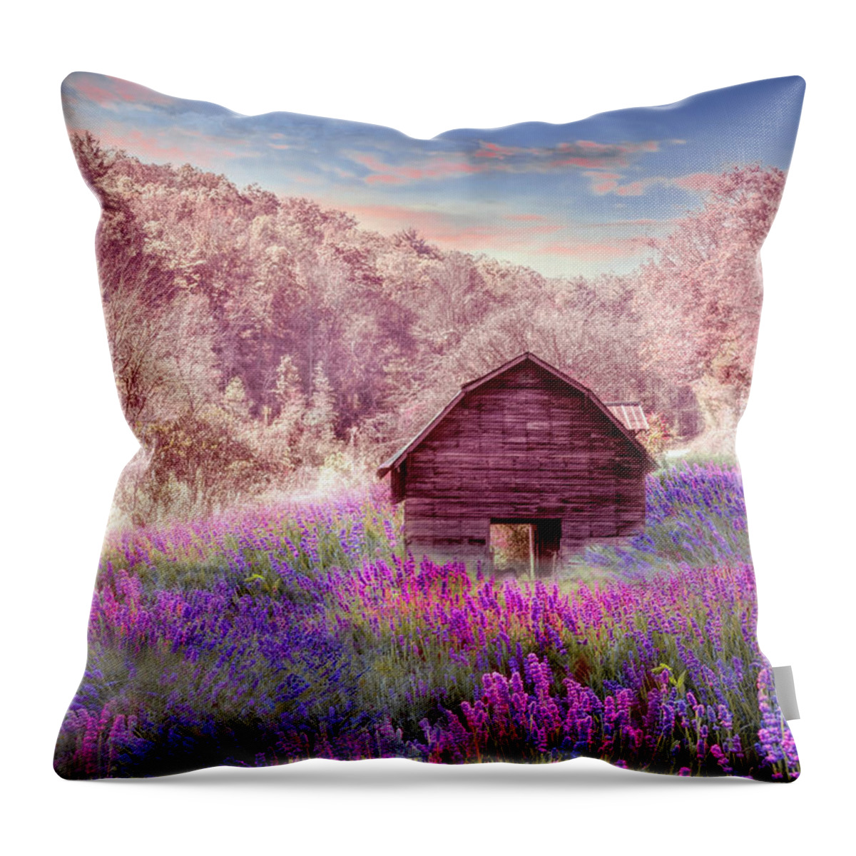 Barns Throw Pillow featuring the photograph Old Wildflower Barn along the Country Roads by Debra and Dave Vanderlaan