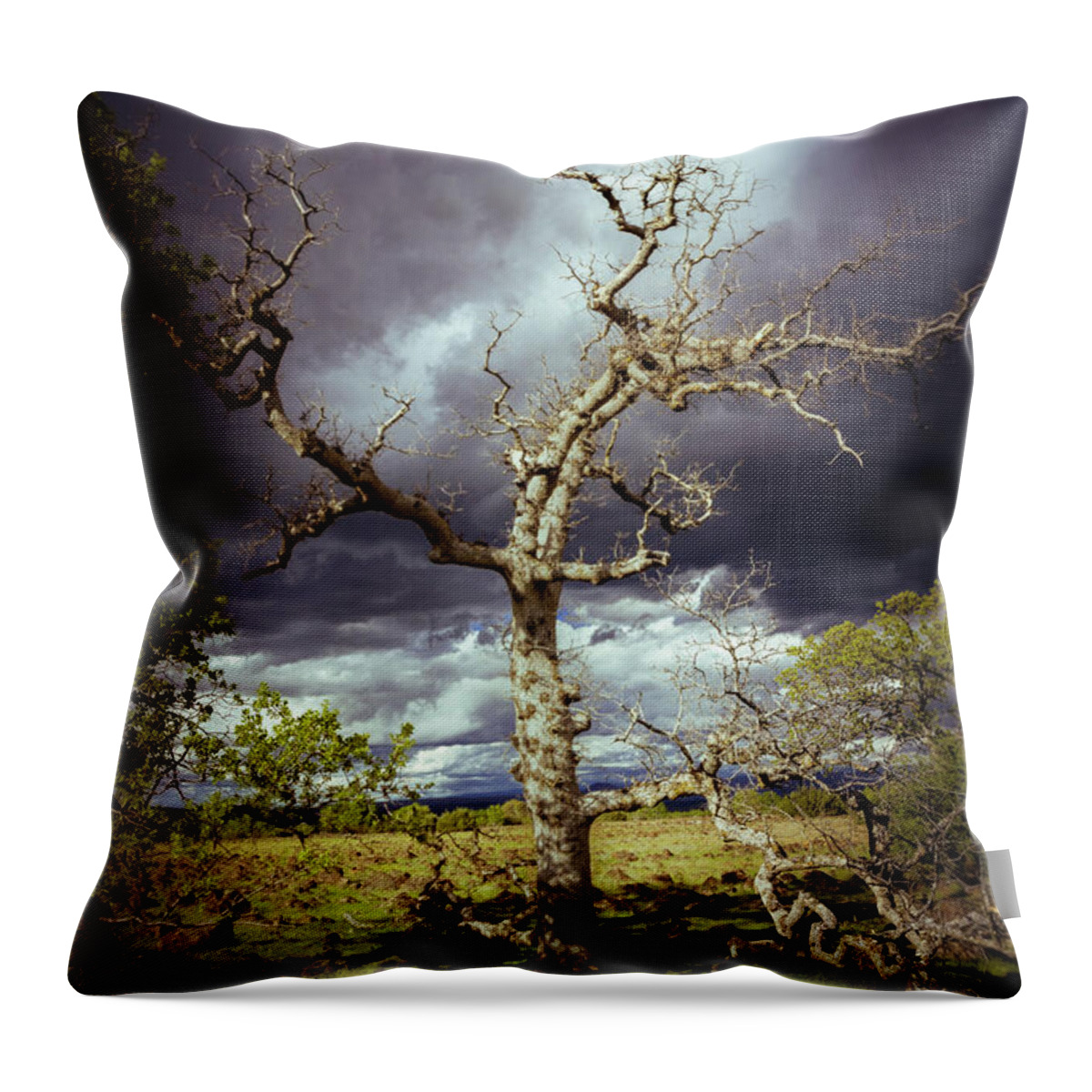 Nature Throw Pillow featuring the photograph Ominous Oak by Mike Lee