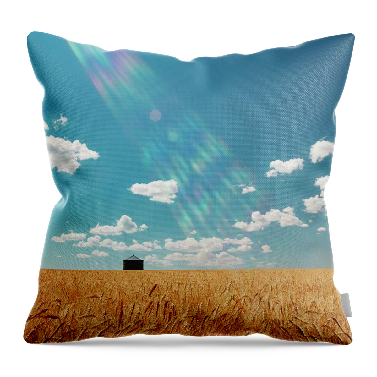 Horizontal Throw Pillow featuring the photograph Omnipotent by Todd Klassy