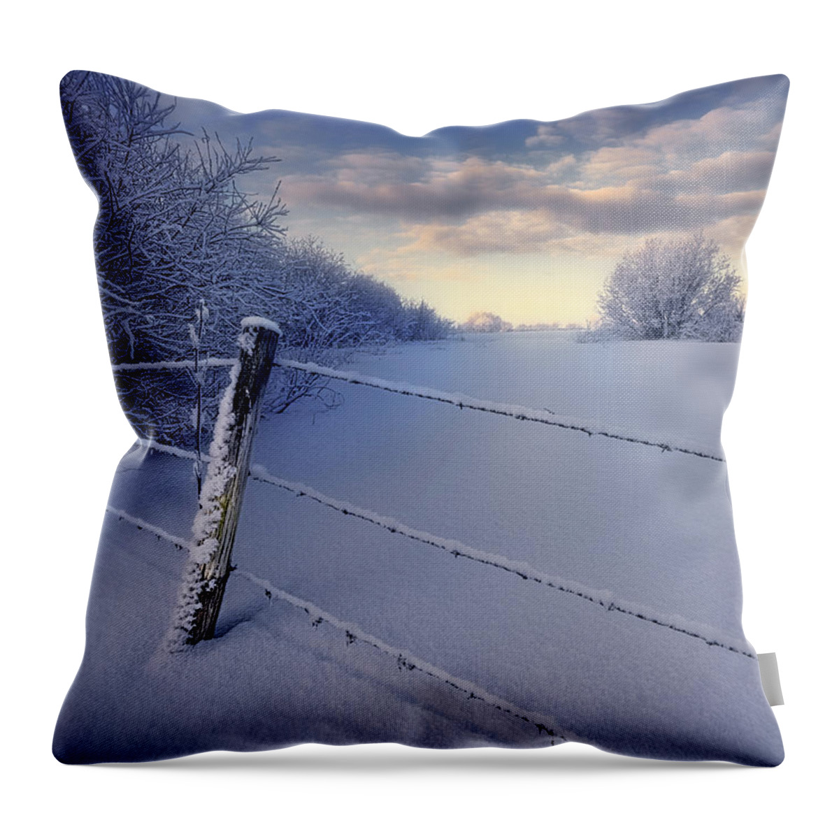 Winter Throw Pillow featuring the photograph On Frozen Pond by Dan Jurak