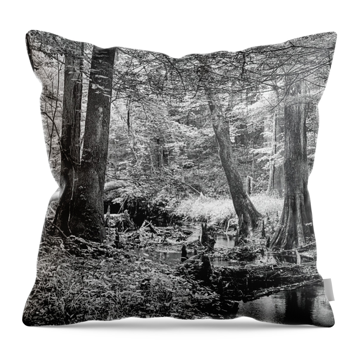 Island Creek Throw Pillow featuring the photograph On Island Creek in the Croatan by Bob Decker