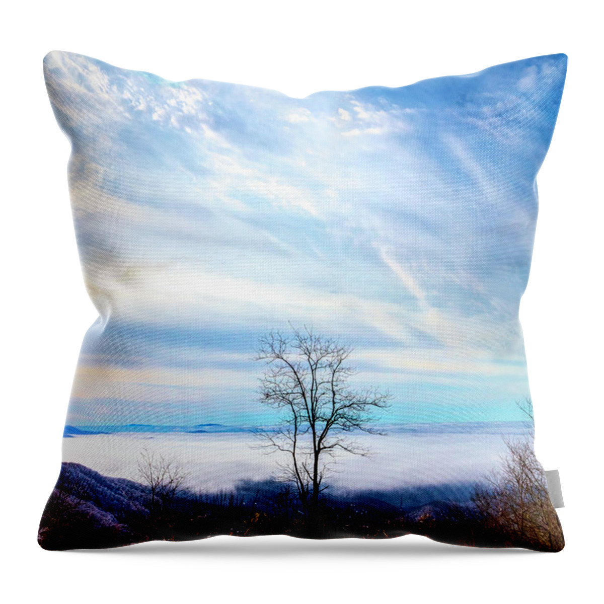 Carolina Throw Pillow featuring the photograph On the Edge of the Blue Ridge Mountains by Debra and Dave Vanderlaan