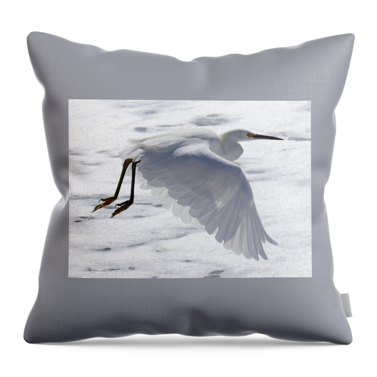 Egret Throw Pillow featuring the photograph On The Move by Leslie Abbott by California Coastal Commission