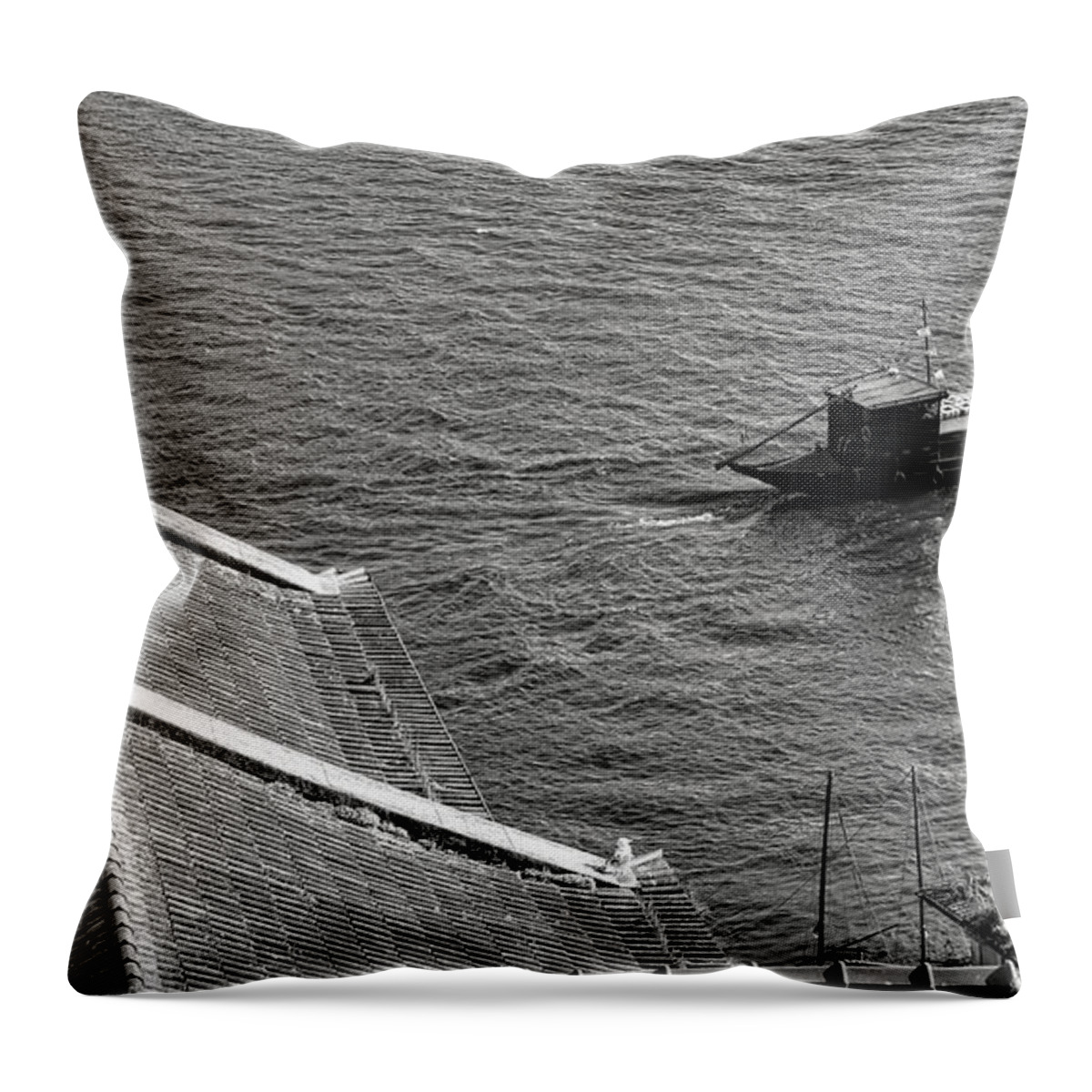 Douro Throw Pillow featuring the photograph On the Rio Douro by Olivier Le Queinec