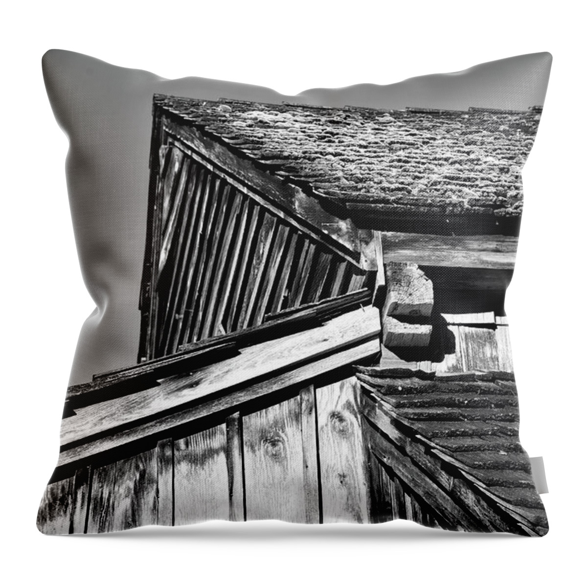 Norris Dam State Park Throw Pillow featuring the photograph On The Road 1 by Phil Perkins